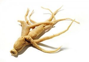 Ženšen pravý (Panax Ginseng)