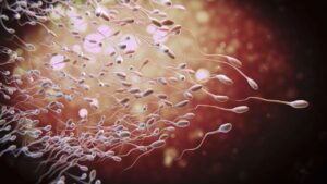 motilita spermií